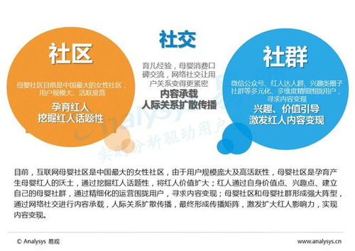 中国互联网母婴市场内容营销专题分析2016
